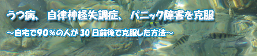 �����_�o�����ǁA�p�j�b�N��Q�A���a�����v���O����